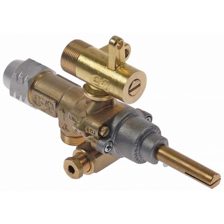Robinet de gaz GPEL21D