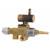 Robinet de gaz GPEL22D