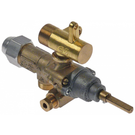 Robinet de gaz GPEL21