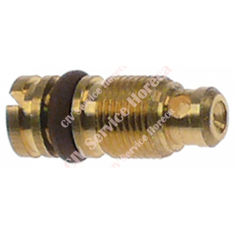 Duza bypass tip PEL22 0,55mm M6x0,5