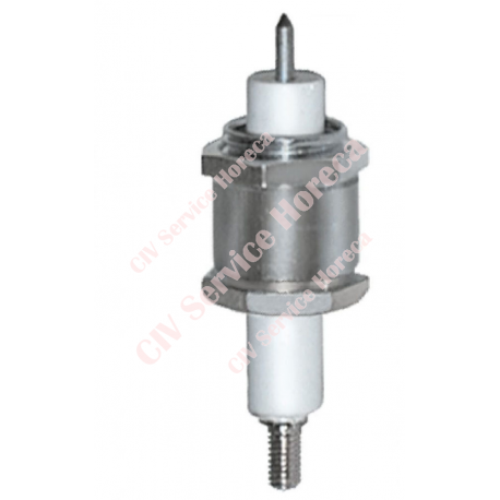 Electrod de aprindere D1 ø 9mm L1 8mm racord M4 PG9