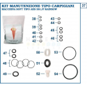 KIT DE GARNITURI COMPLET TIP AES 381 / P RAINBOW