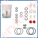 KIT DE GARNITURI COMPLET TIP 243 EVO - 243 N'ICE CREAM