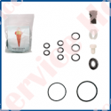 KIT DE GARNITURI COMPLET TIP RAPIDA