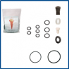 KIT DE GARNITURI COMPLET TIP RAPIDA