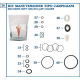 KIT DE GARNITURI COMPLET TIP AES / 381 / PSP COLOR