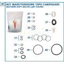 KIT DE GARNITURI COMPLET TIP AES / 381 / PSP COLOR
