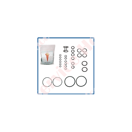 KIT DE GARNITURI COMPLET TIP BC 200 PM - BV 200 PM - MV 201 PM