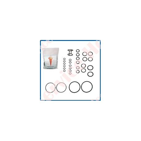 KIT DE GARNITURI COMPLET TIP MATIC 500 PM