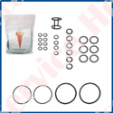 KIT DE GARNITURI TIP EXCEL 300 PM - MATIC 300 PM