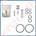 KIT DE GARNITURI TIP MV 253 GR - HV 253 GR