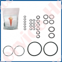 KIT DE GARNITURI TIP MV 254 PM - HV 256 PM